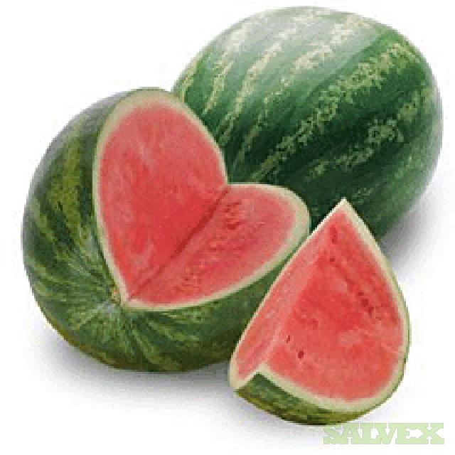 Delta Fresh Seedless Watermelons Salvex