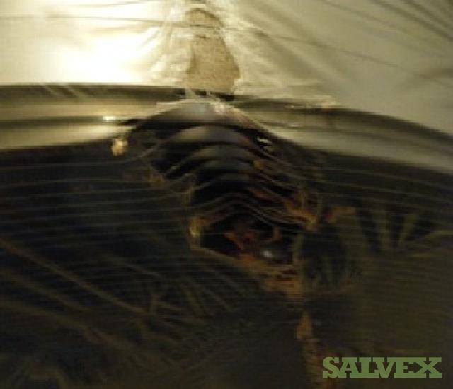 Oscillate Wound Coils Cold Rolled 1050 Salvex