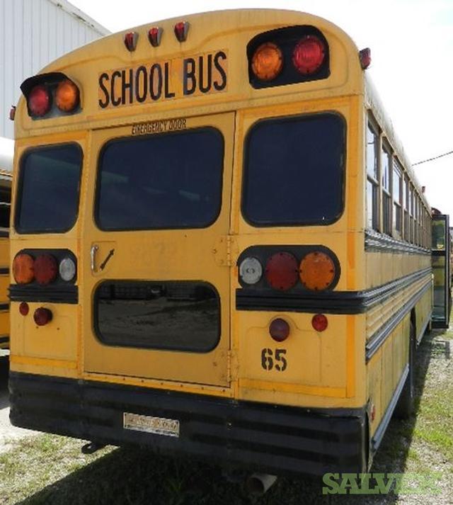 Bluebird & Amtran School Buses (5 Units) | Salvex