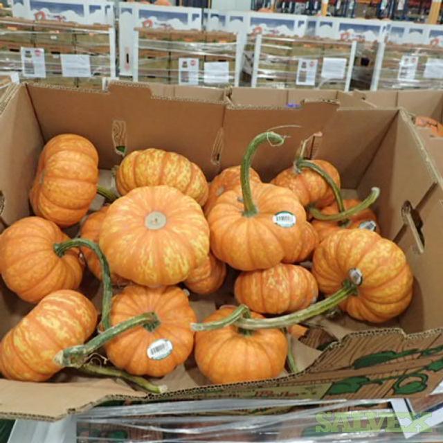 Pumpkins (Mildew on the Stems) - 35,800 lbs | Salvex