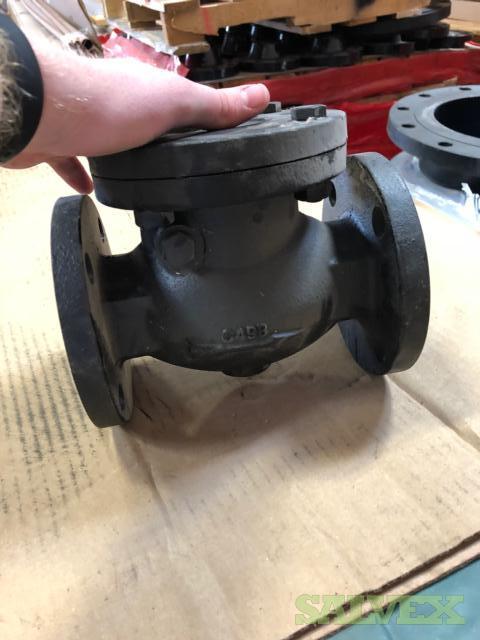 Cast Iron Flanged Swing Check Valve 2 - 4 (260 Pieces)