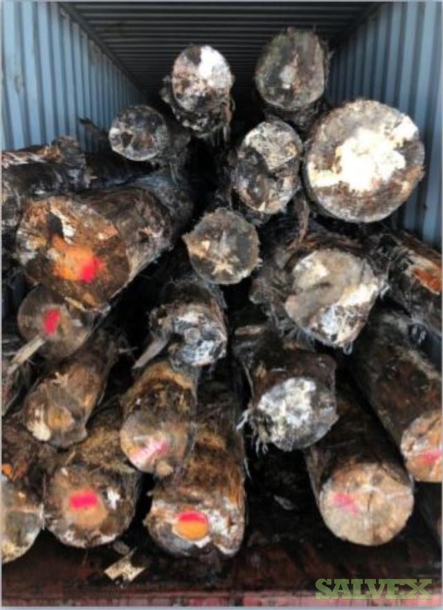 Southern Yellow Pine Logs (23 Pieces / 27,422 kgs) Sealed Container