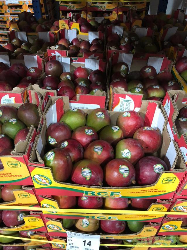 Tommy Mango 14s 1,792 Cases / 8 Pallets Salvex