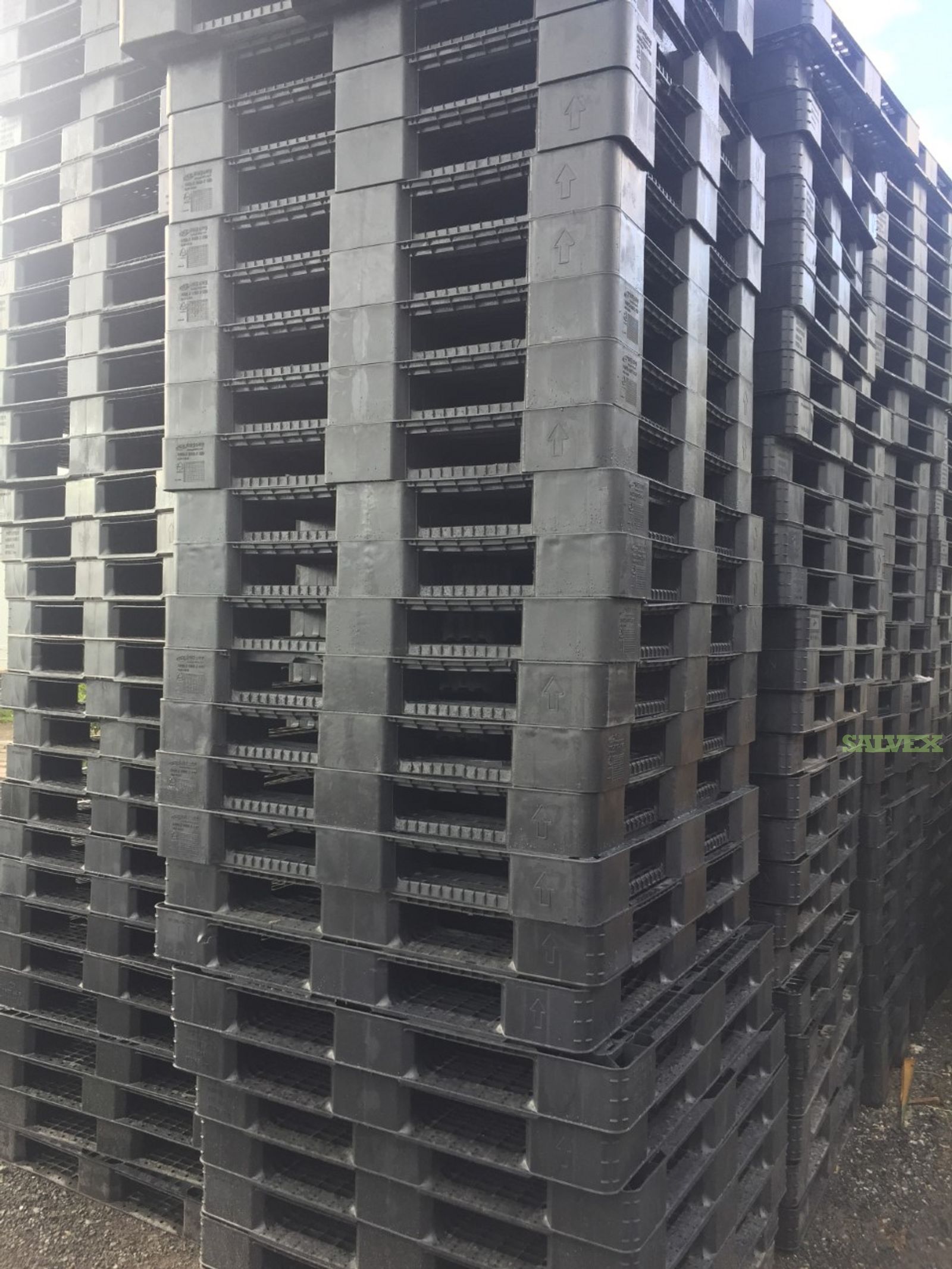43x43 Plastic Pallets (500 Pallets / 1 Truckload) in Montreal Salvex