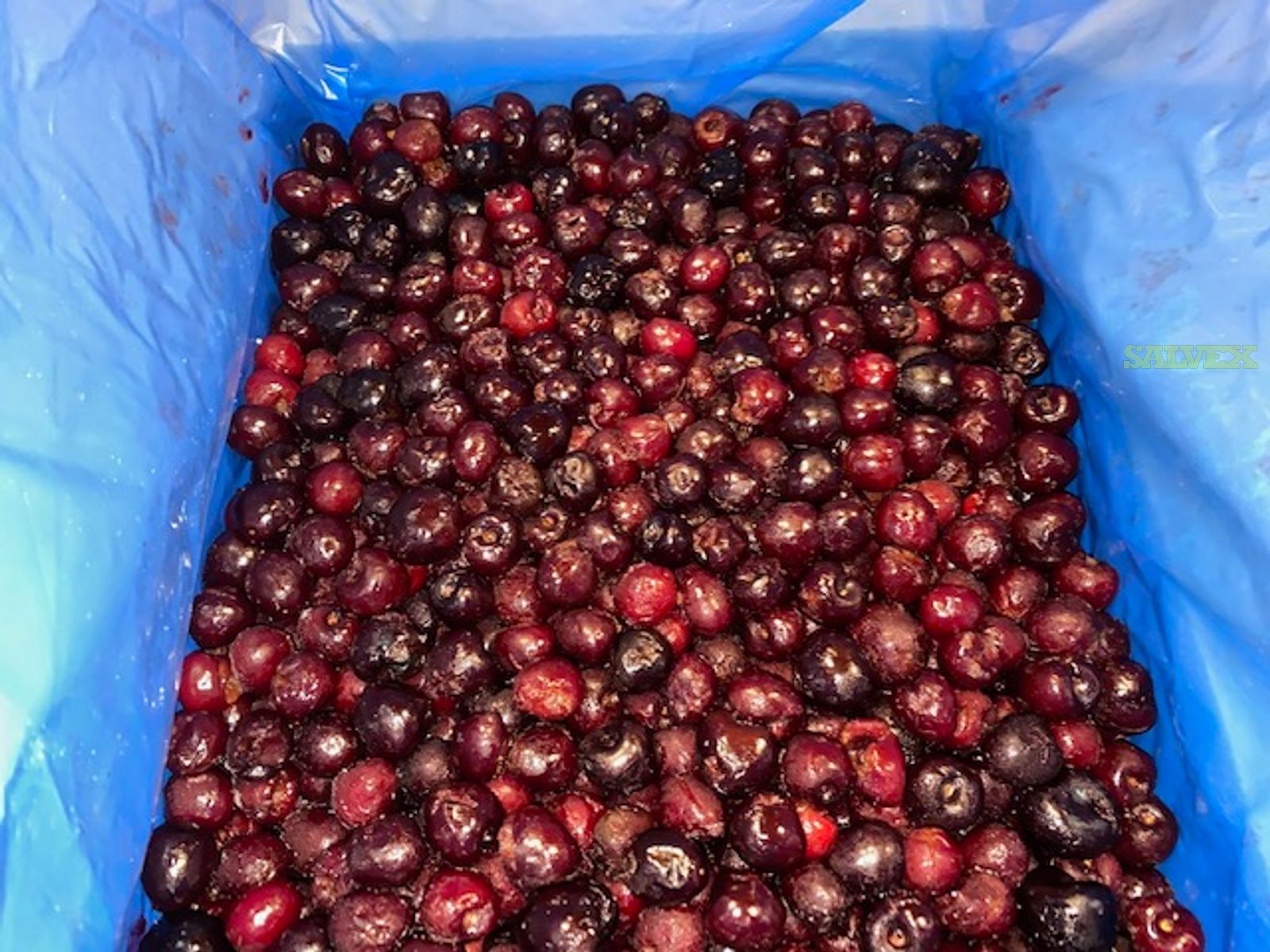 IQF Dark Sweet Frozen Cherries Grade A 2020/2021(1,760 Cases) Salvex