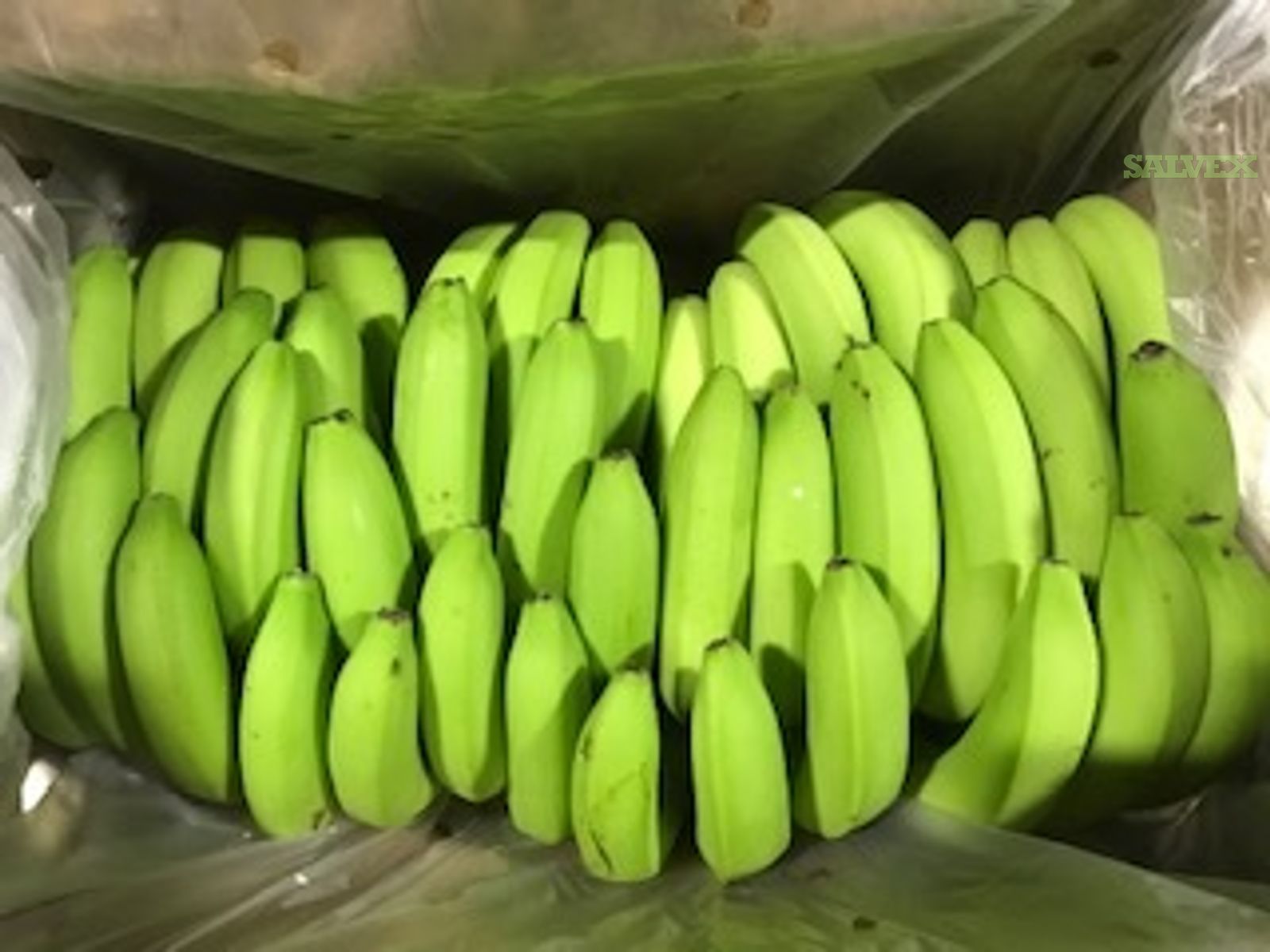 Fresh Banana Load 960 | Salvex