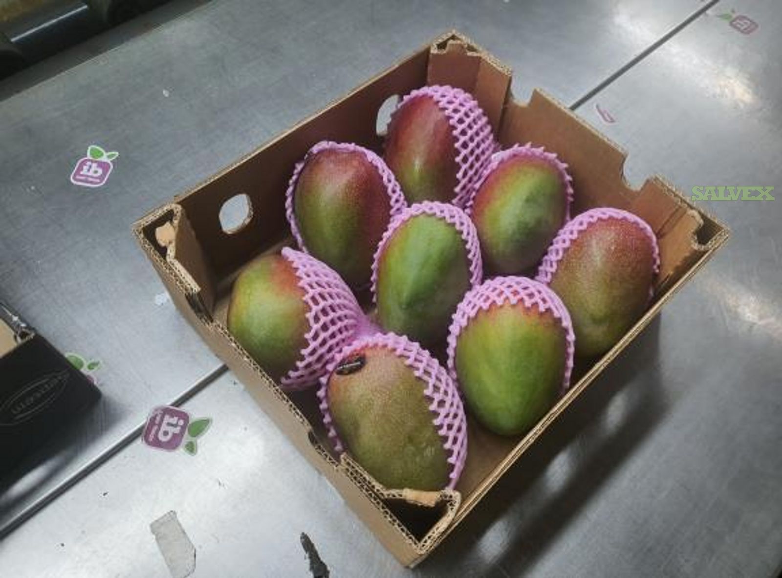 Fresh Mangoes from Peru (4,560 Boxes)