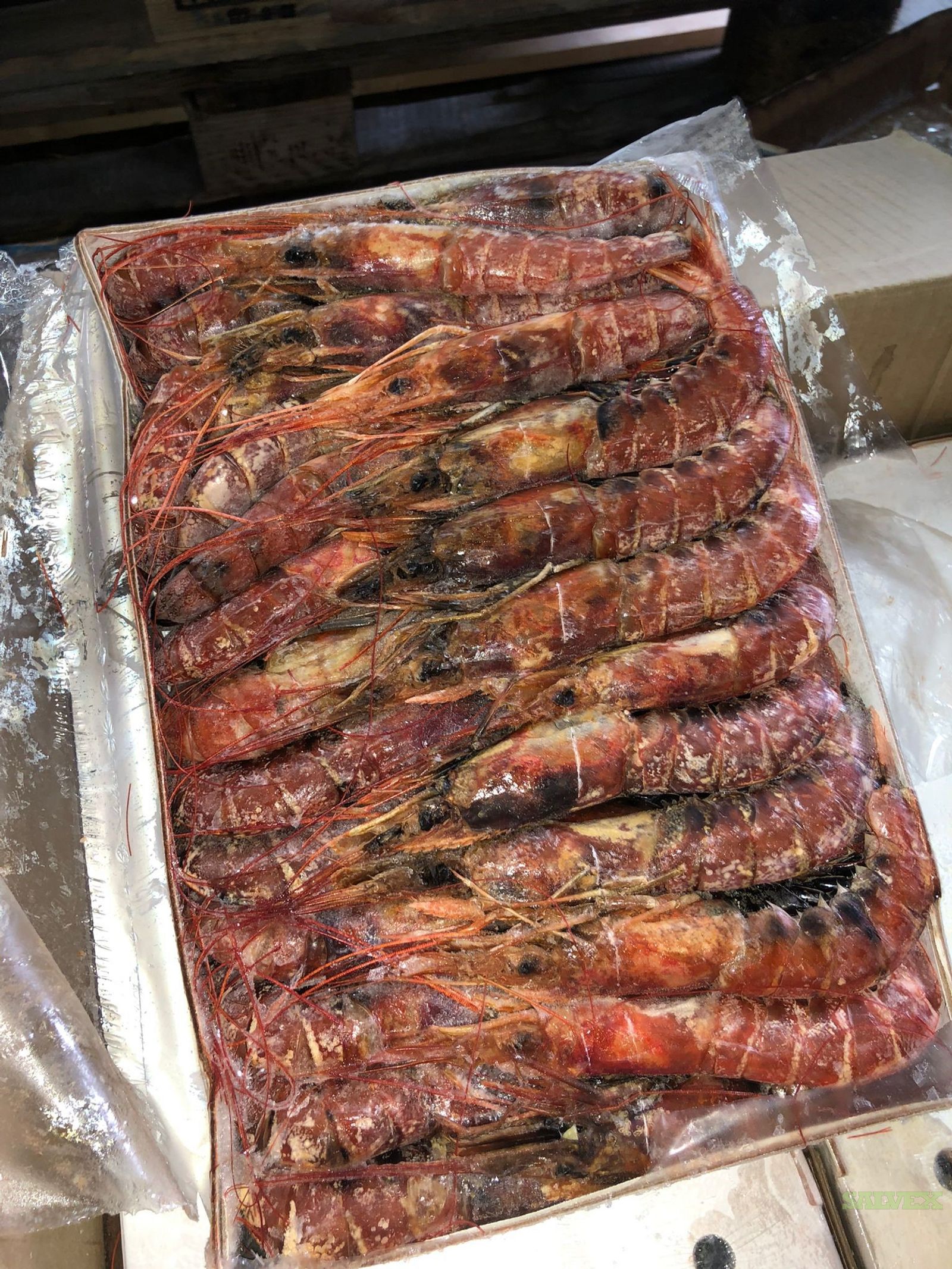Landfrozen Hoso Shrimp (24,000.00 Kg)