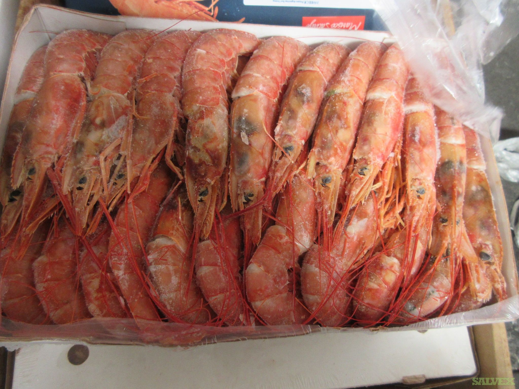 Frozen Argentina Red Shrimp L2 6X2 KG (24,000.00 Kg)