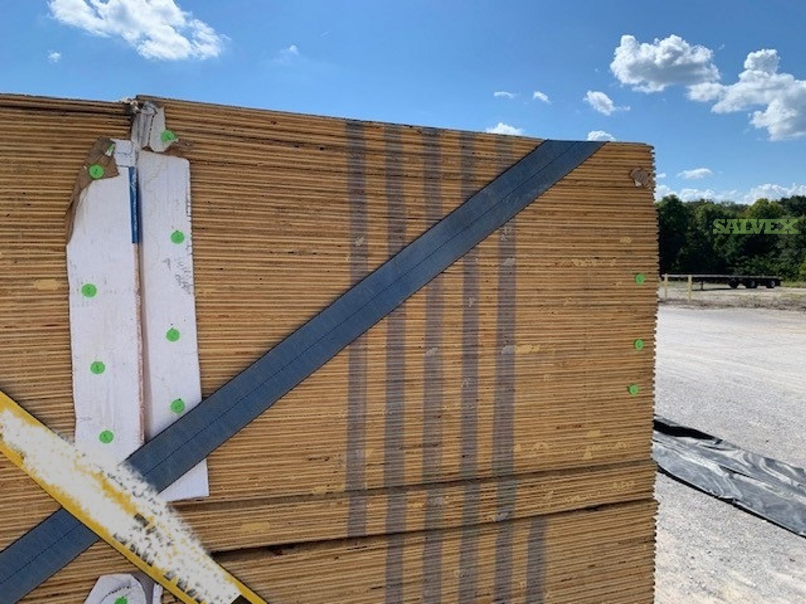 Plywood 23/32 CAT 48X96 GP RTD SIF EXP1 SOU 24"OC T&G (720 Pieces) Salvex