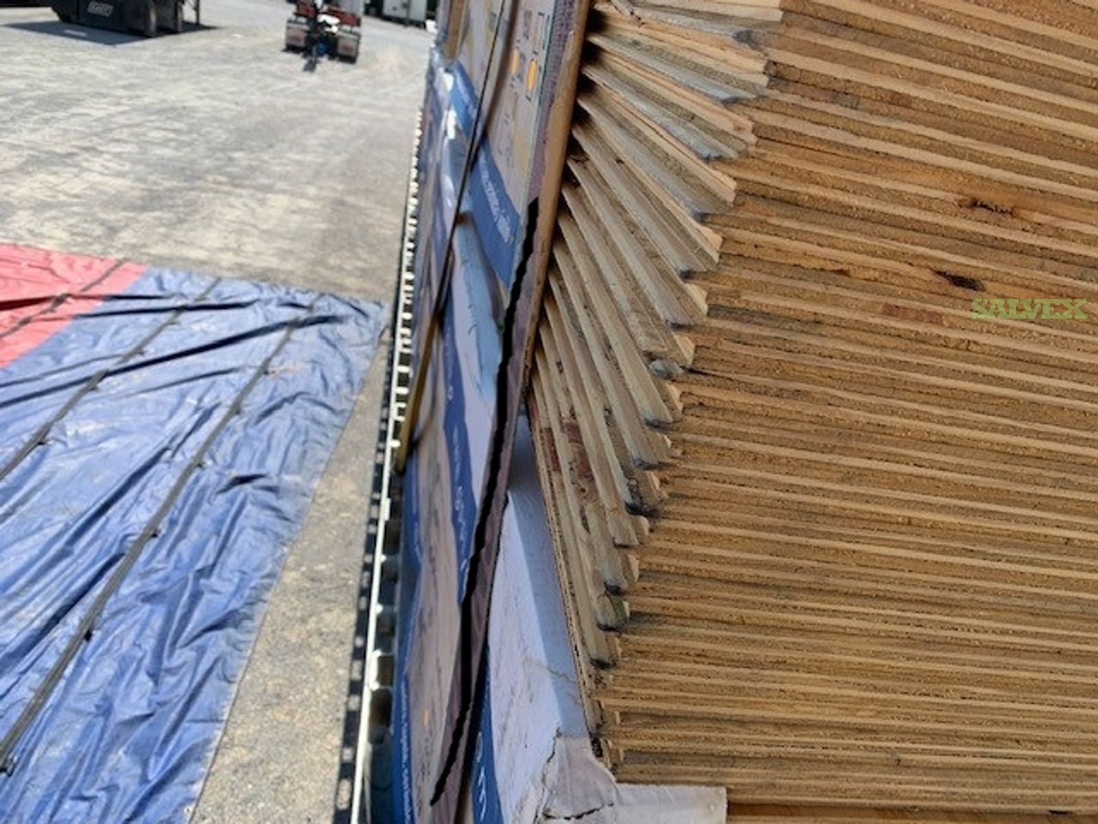 Plywood 23/32 CAT 48X96 GP RTD SIF EXP1 SOU 24"OC T&G (720 Pieces