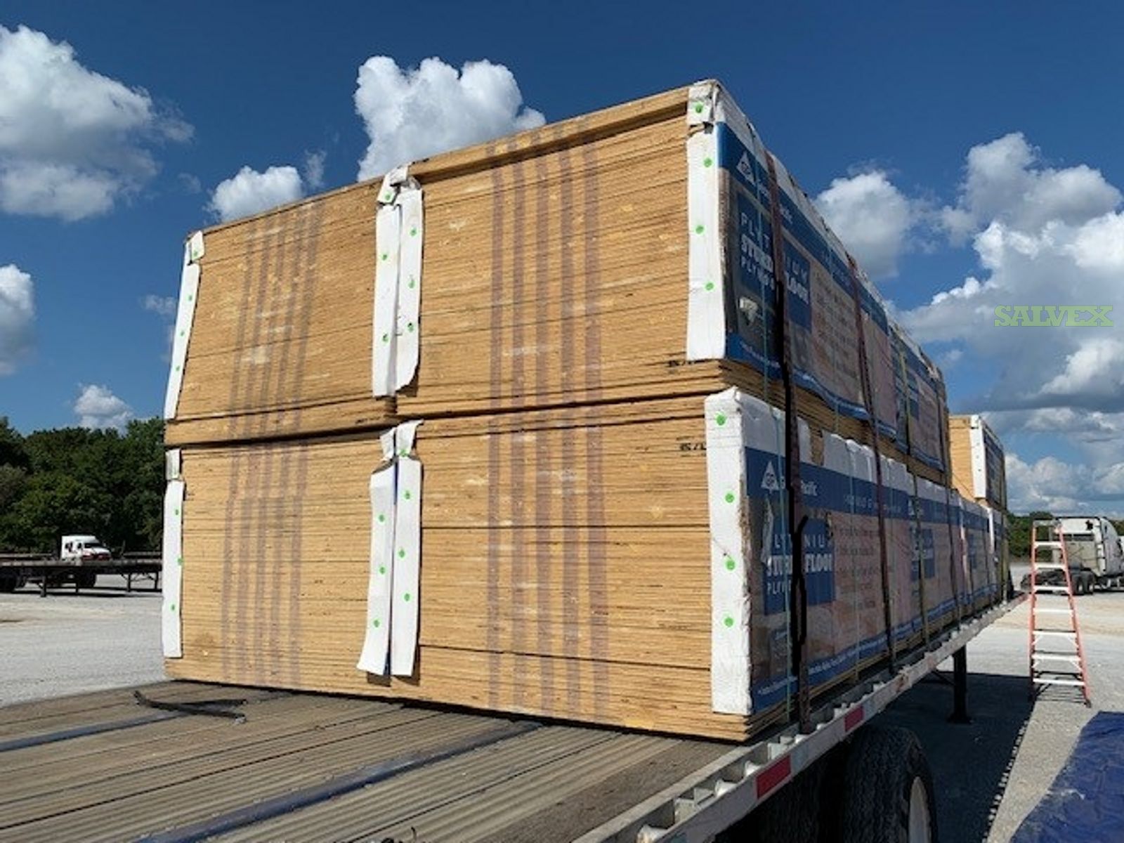 Plywood 23/32 CAT 48X96 GP RTD SIF EXP1 SOU 24"OC T&G (720 Pieces) Salvex