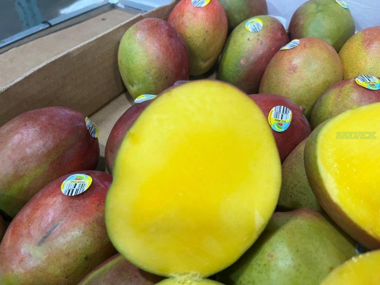 Tommy Atkins Mangoes Fresh Mangos 4 Pallets / 360 Cases Salvex