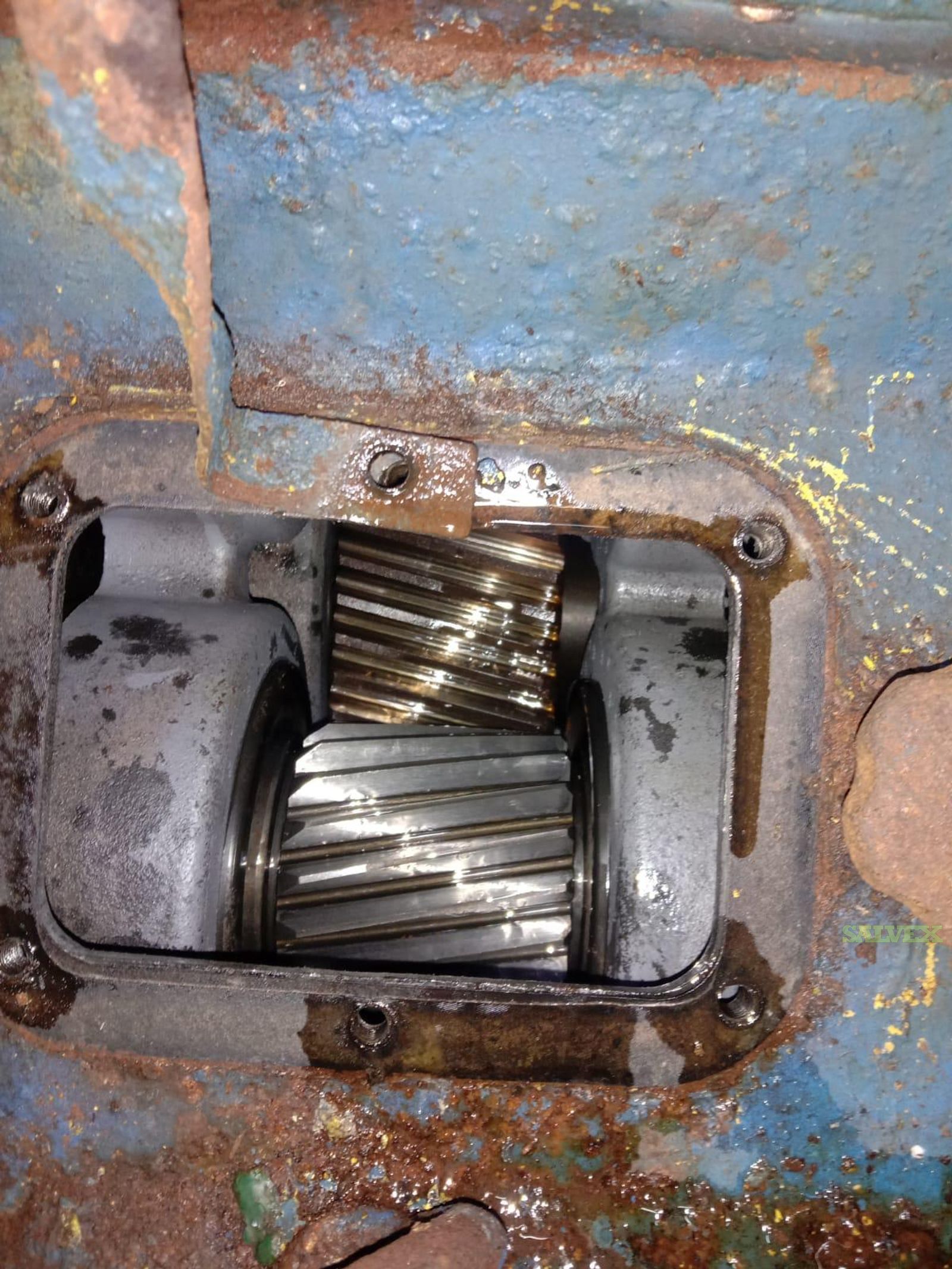 Mitz Marine Engine (with Advance Marine Gearbox) (2 Units) | Salvex