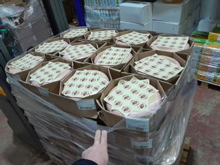 Cheddar and Gouda Cheese (12,774.02 Kg) | Salvex