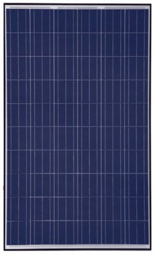 Trina 250W Solar Panels (125 Units)