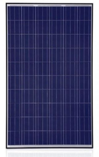 Trina 255W Solar Panels (306 Units)