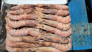 Frozen Whole Shrimps HOSO (18,000 Lbs)