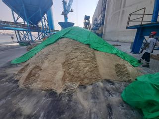 Contaminated Raw Cane Sugar (Aprox. 81 MT)