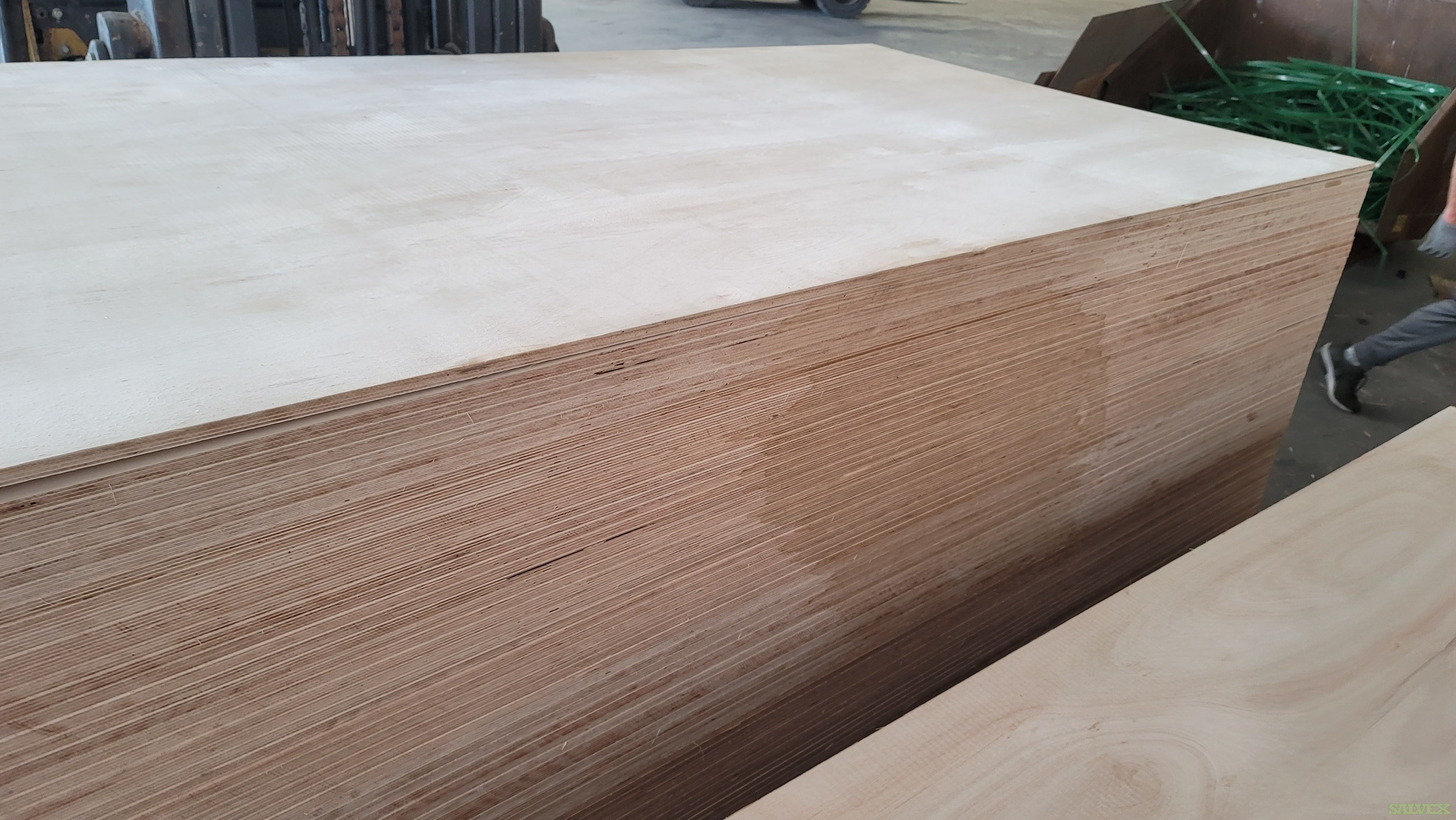 Hardwood Eucalyptus Plywood - 3/8"(9mm) for General Purpose (1248 sheets / 13 crates)